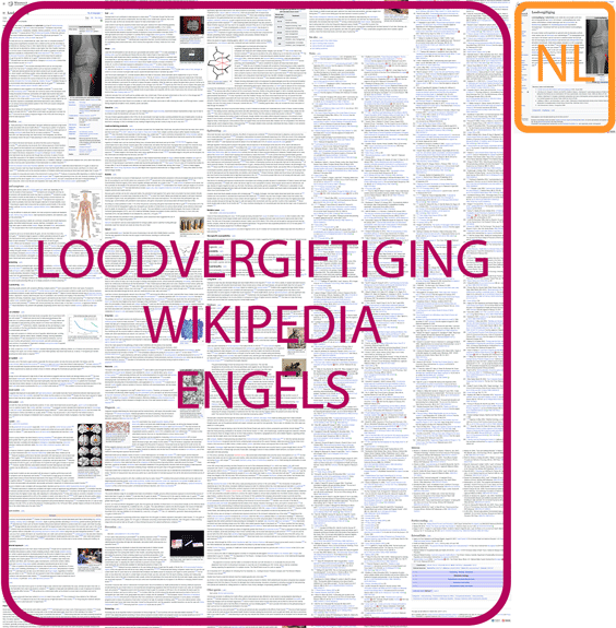screenshot wikipedia loodvergiftiging hoeveelheid informatie engels vs nederlands